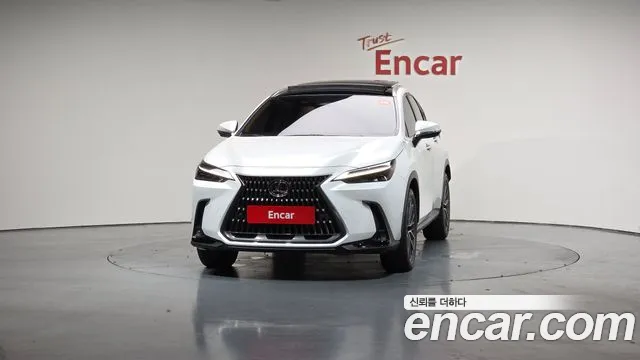 Lexus NX 2024