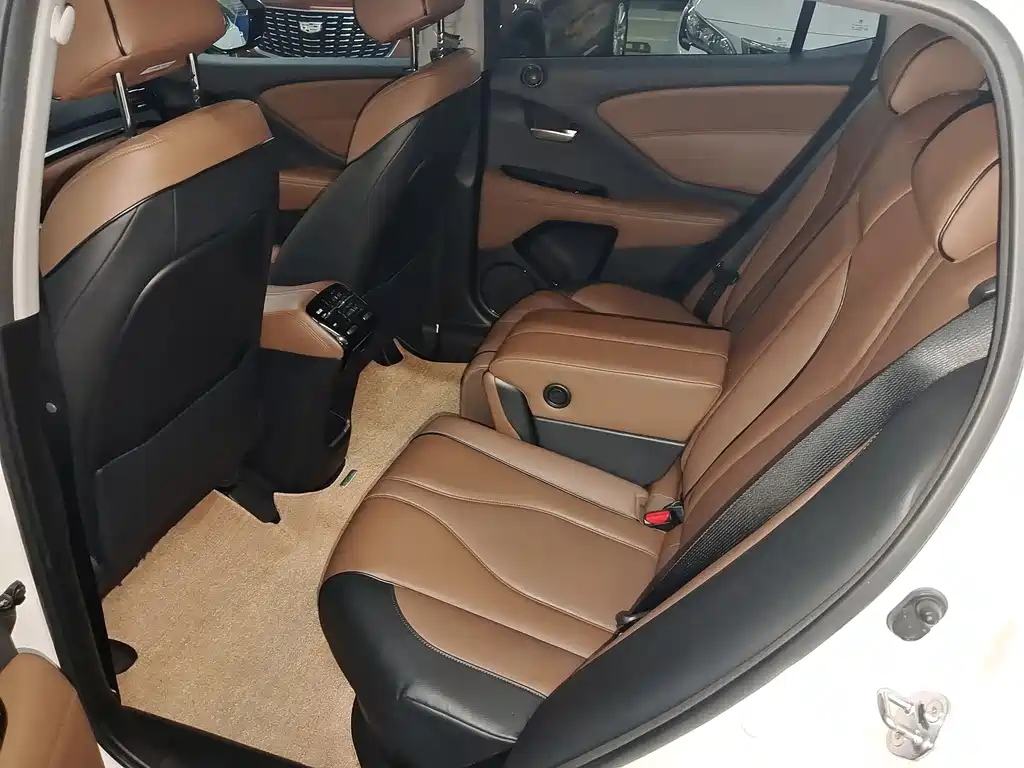 Acura CDX 2020