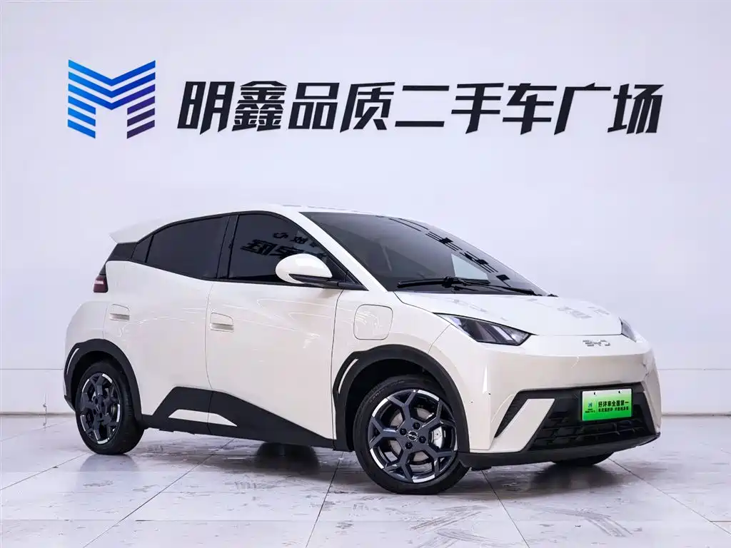 BYD Seagull 2025