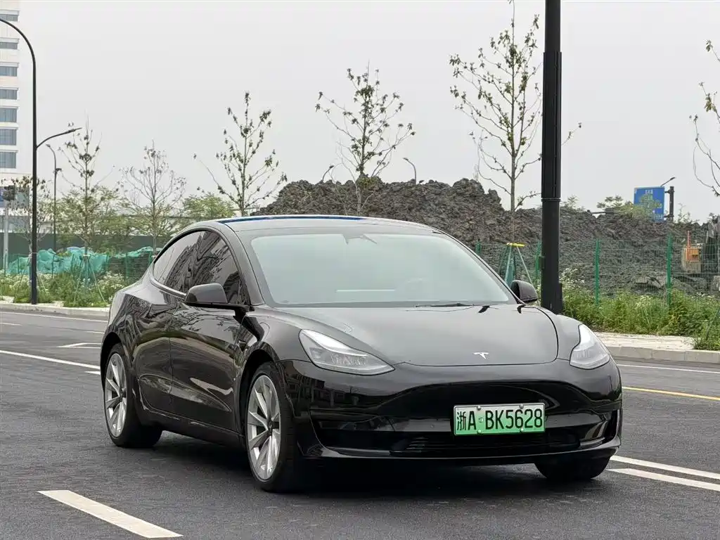 Tesla Model 3 2021