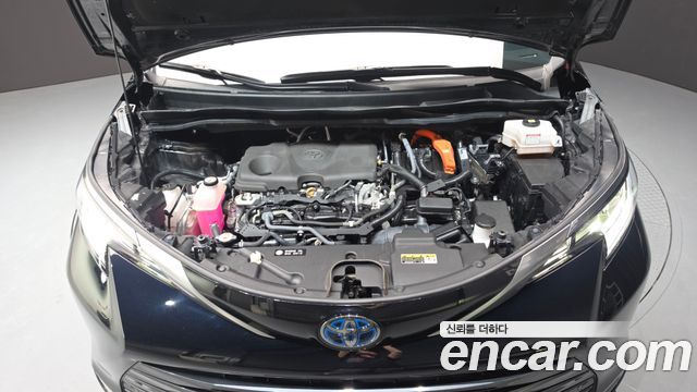 Toyota Sienna 2021