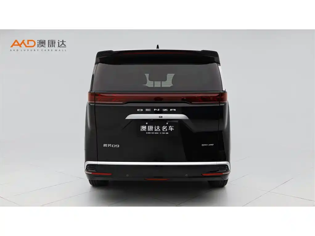 Denza D9 2025
