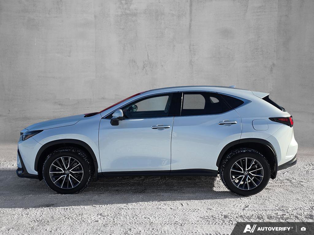 Lexus NX 2024