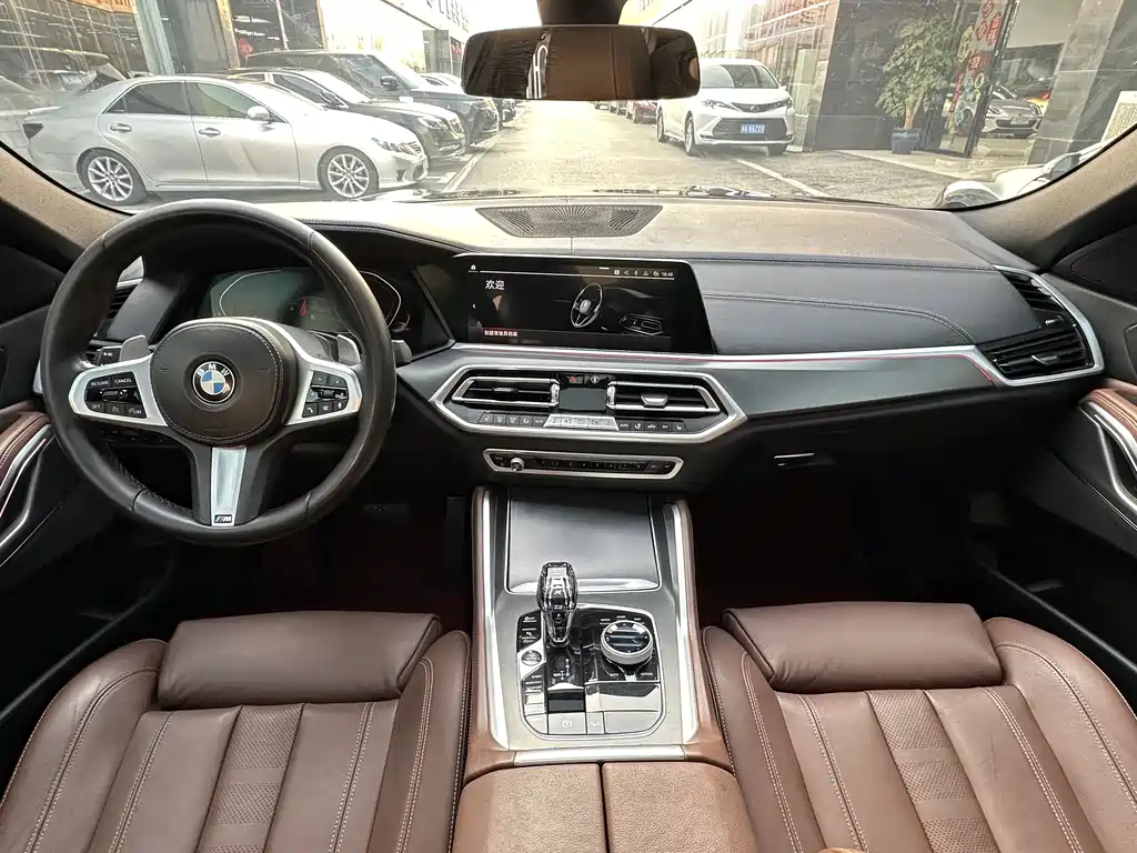 BMW X6 2021