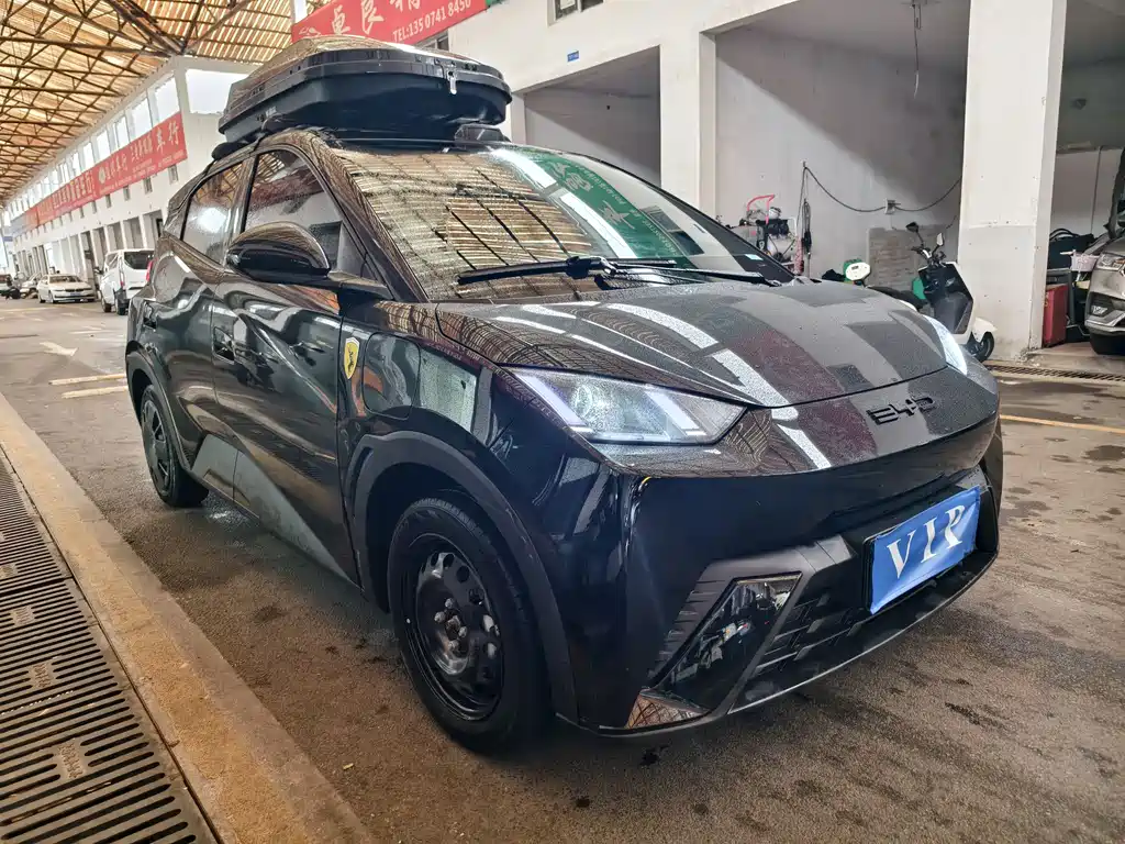 BYD Seagull 2024