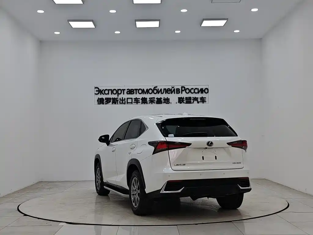 Lexus NX 2021