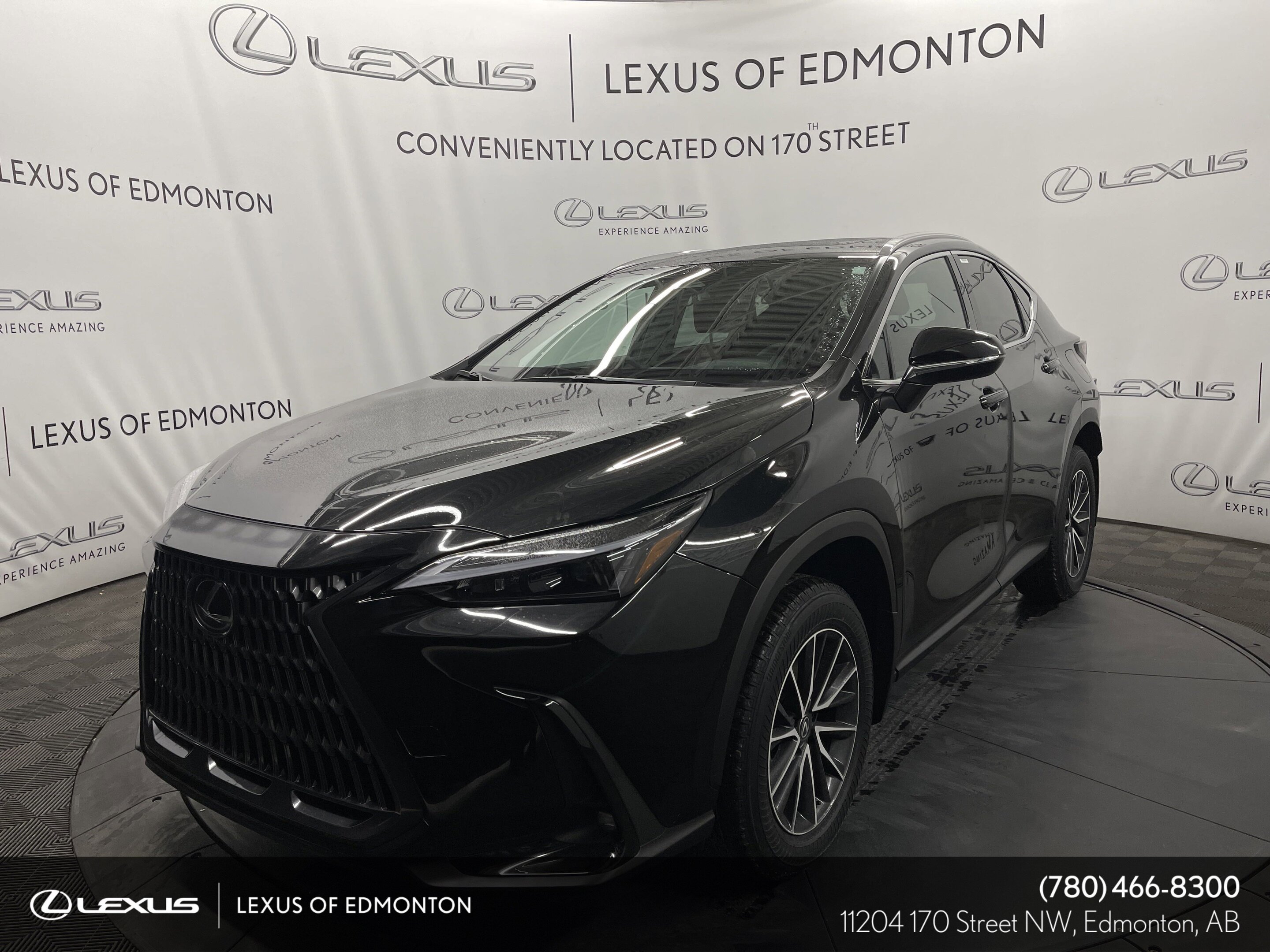 Lexus NX 2025