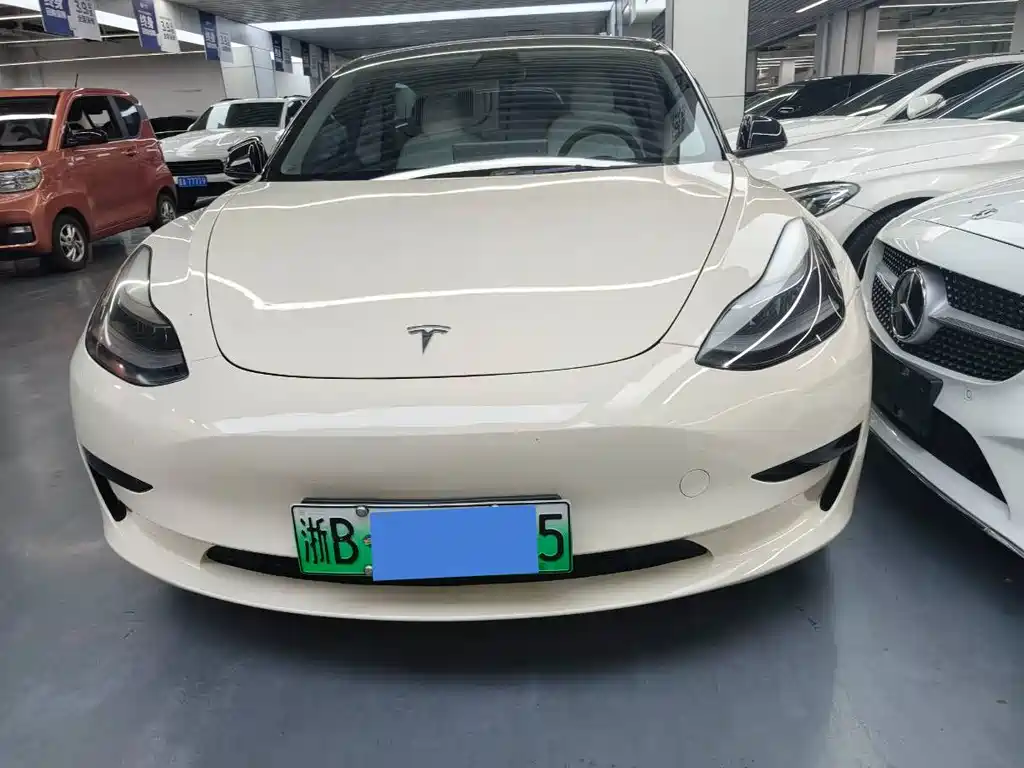 Tesla Model 3 2021