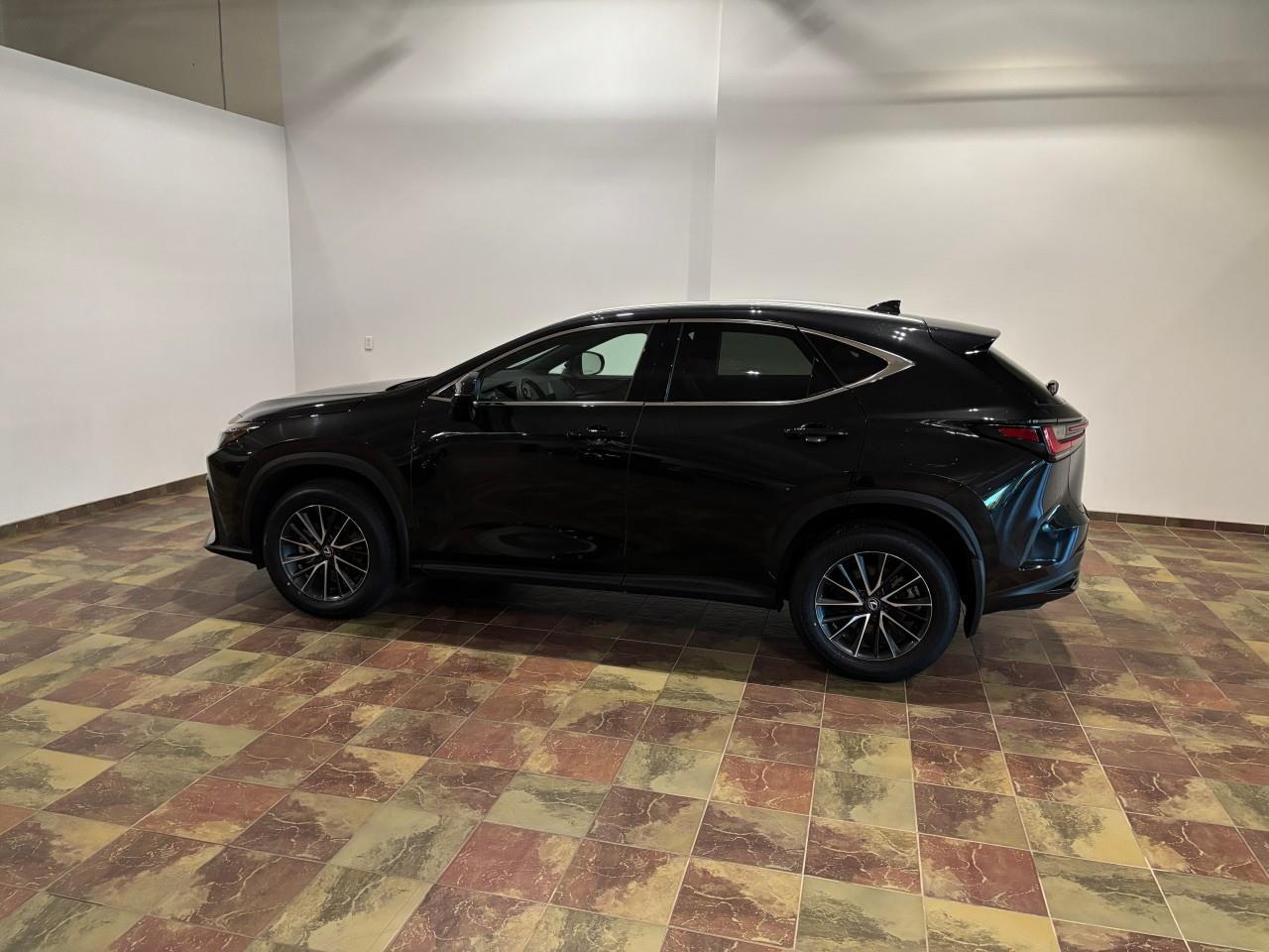 Lexus NX 2024