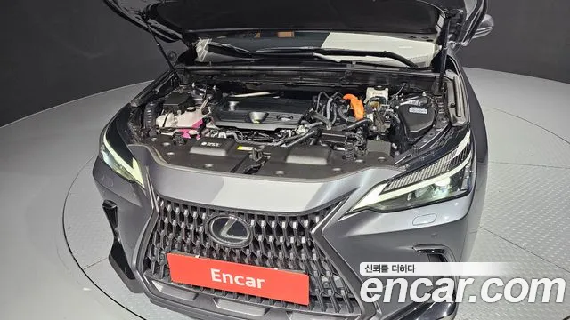 Lexus NX 2023
