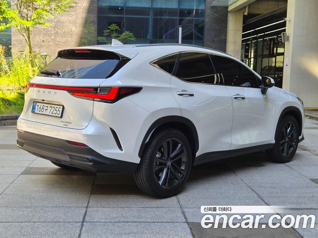 Lexus NX 2025