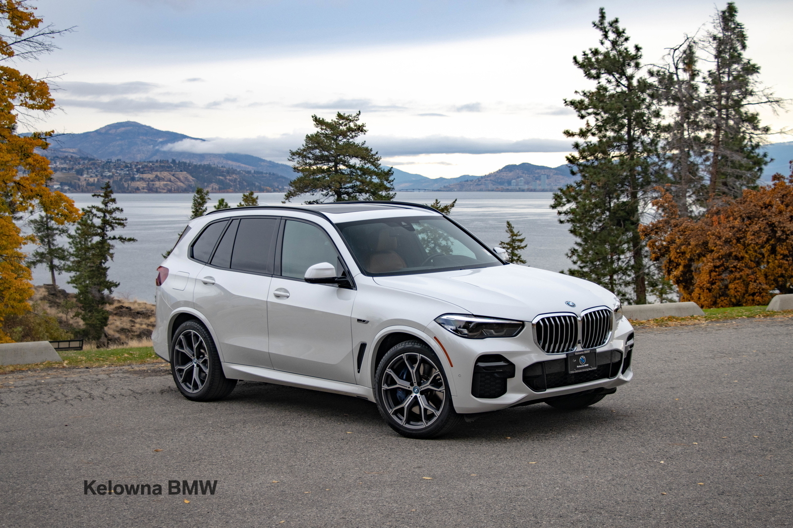 BMW X5 2022