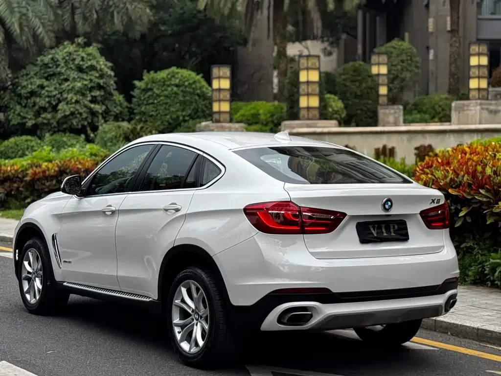 BMW X6 2020