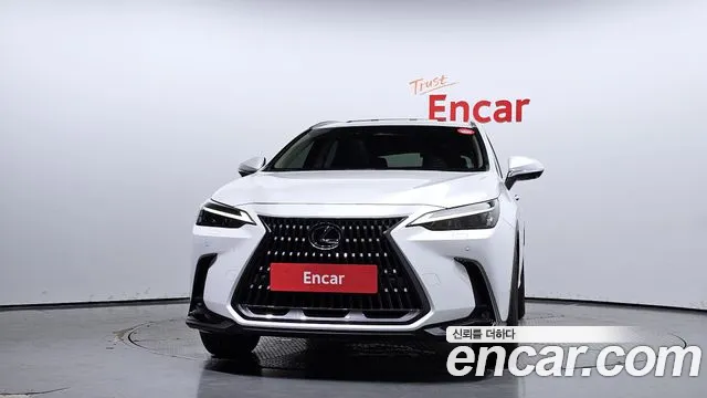 Lexus NX 2022