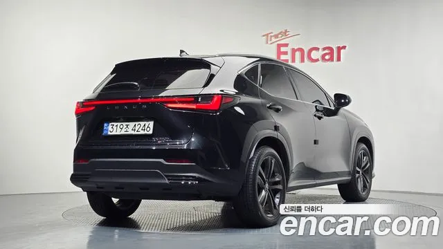 Lexus NX 2023