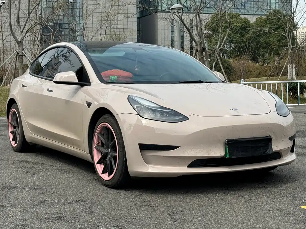 Tesla Model 3 2022