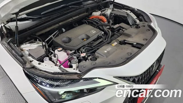 Lexus NX 2022
