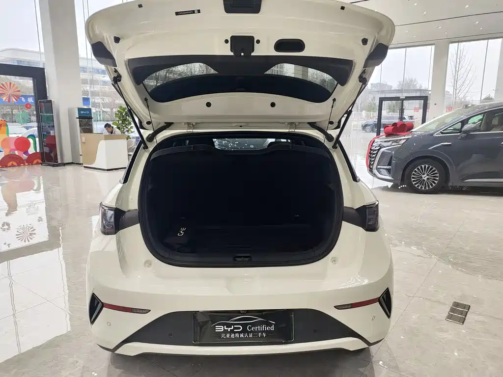 BYD Dolphin 2025