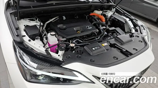 Lexus NX 2024