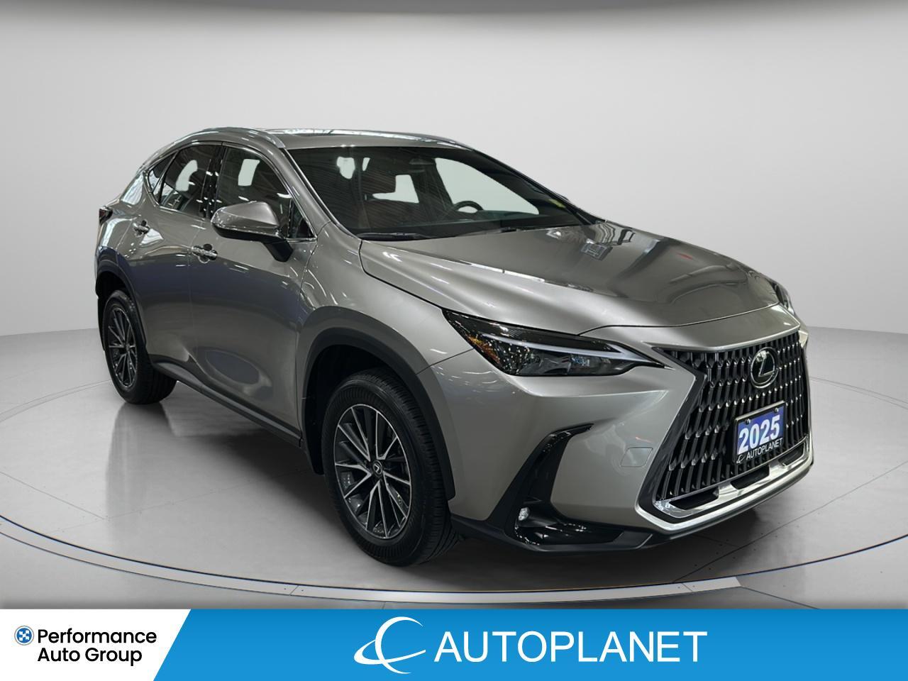 Lexus NX 350 2025