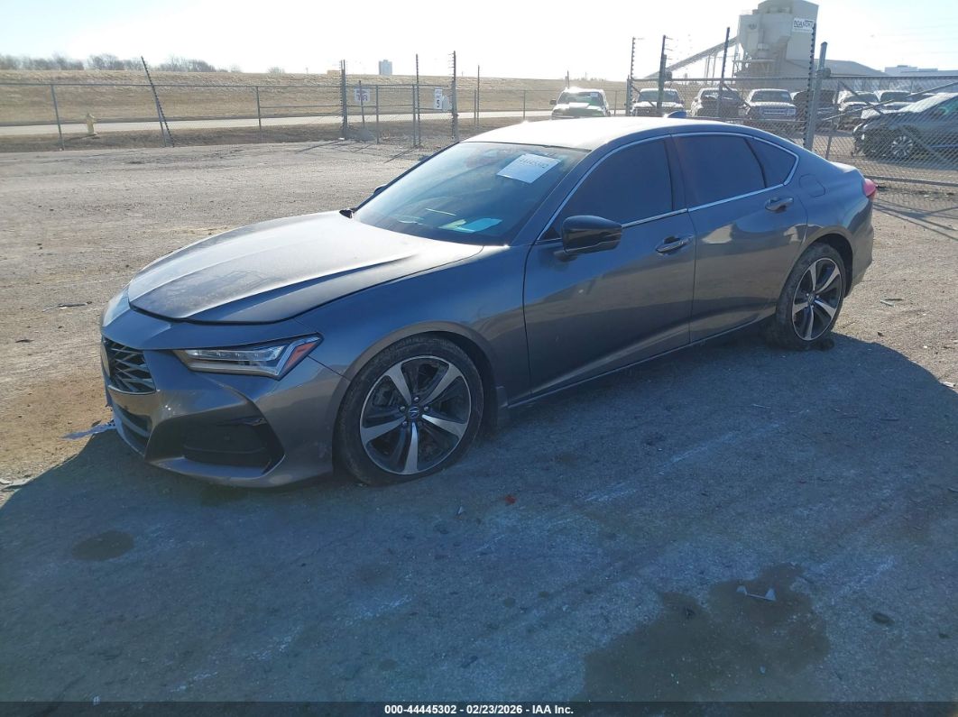 Acura TLX 2024