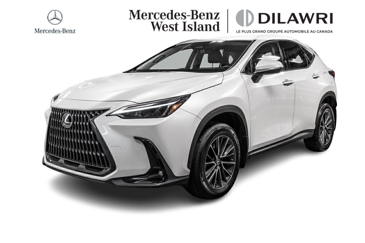 Lexus NX 2022