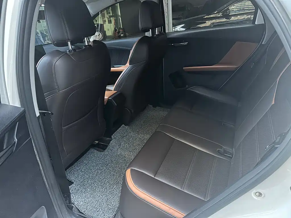 BYD E2 2020