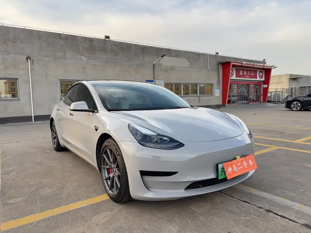 Tesla Model 3 2021