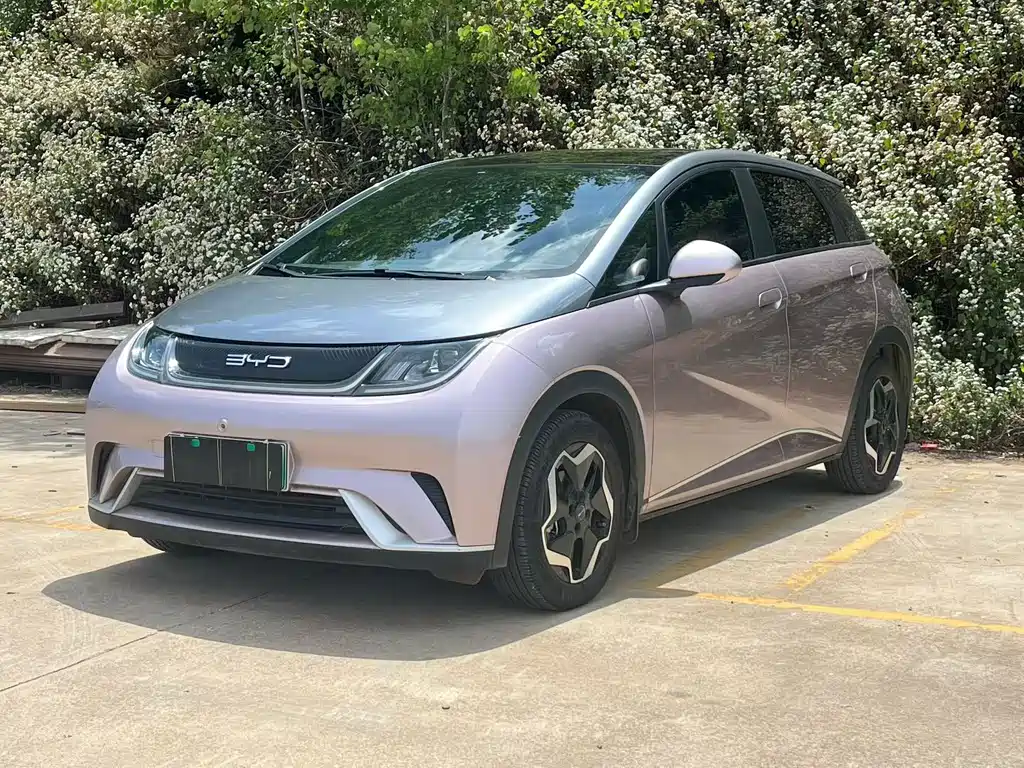 BYD Dolphin 2022