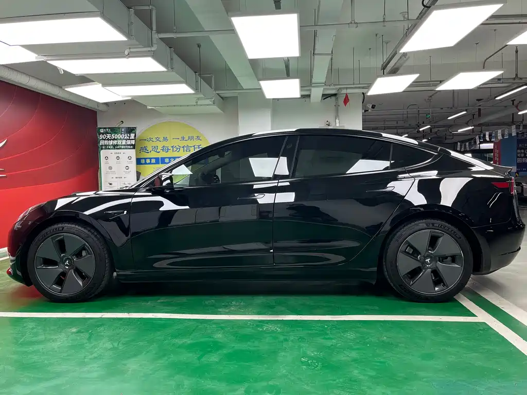 Tesla Model 3 2021