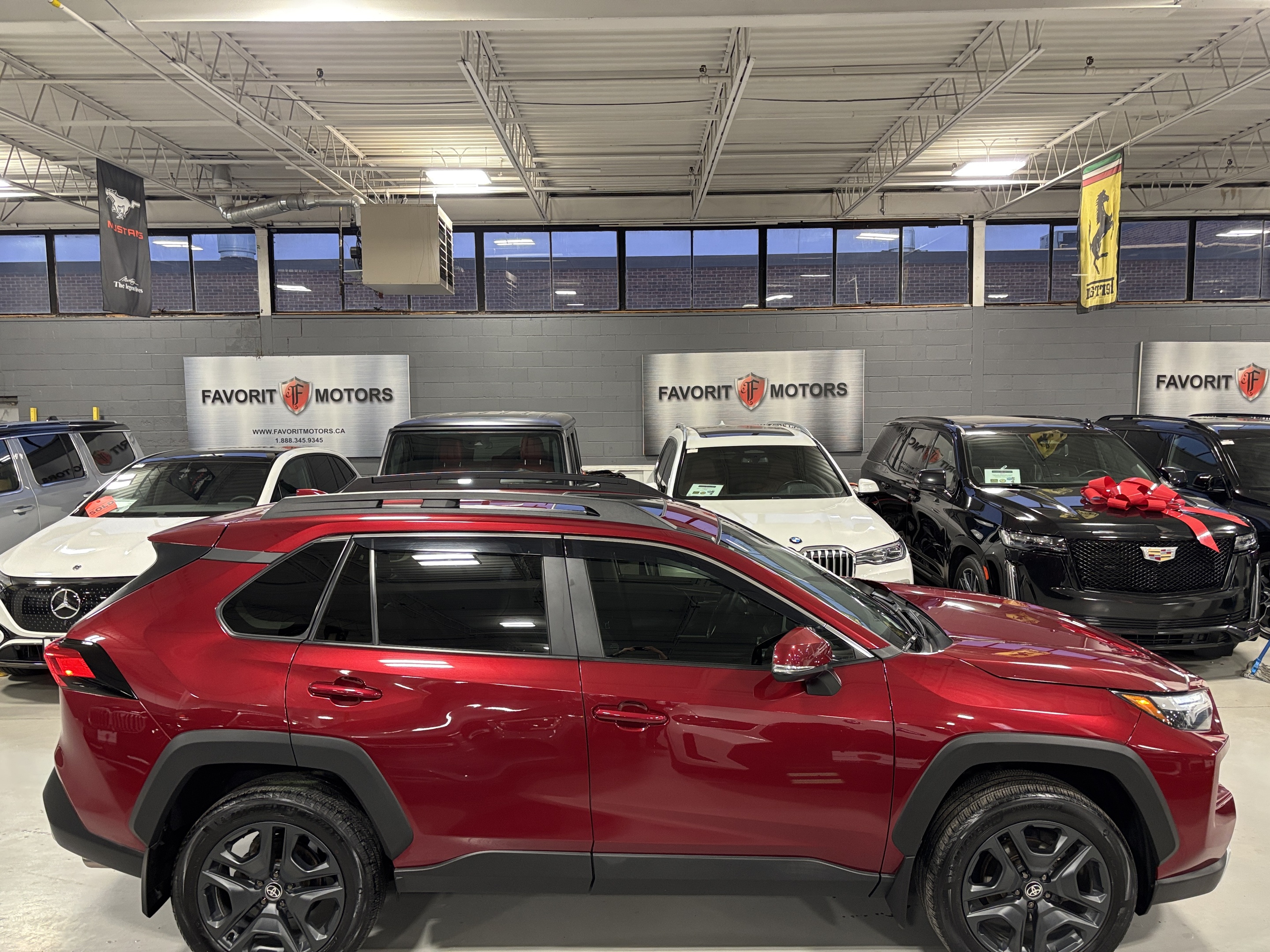 Toyota RAV4 2023