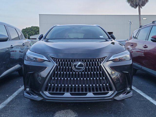 Lexus NX 2025
