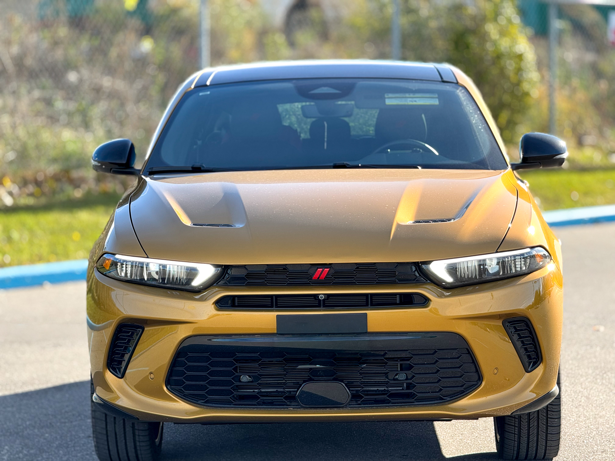 Dodge Hornet 2024