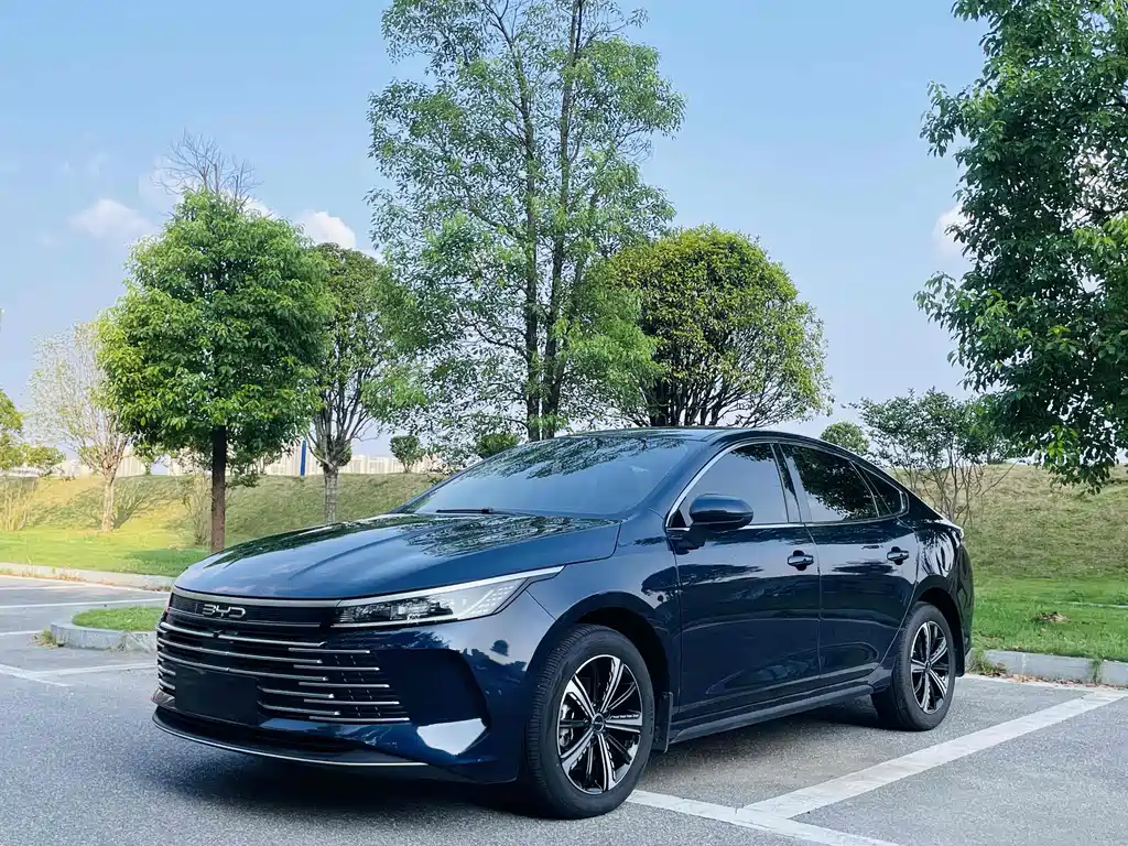BYD Destroyer 05 2024