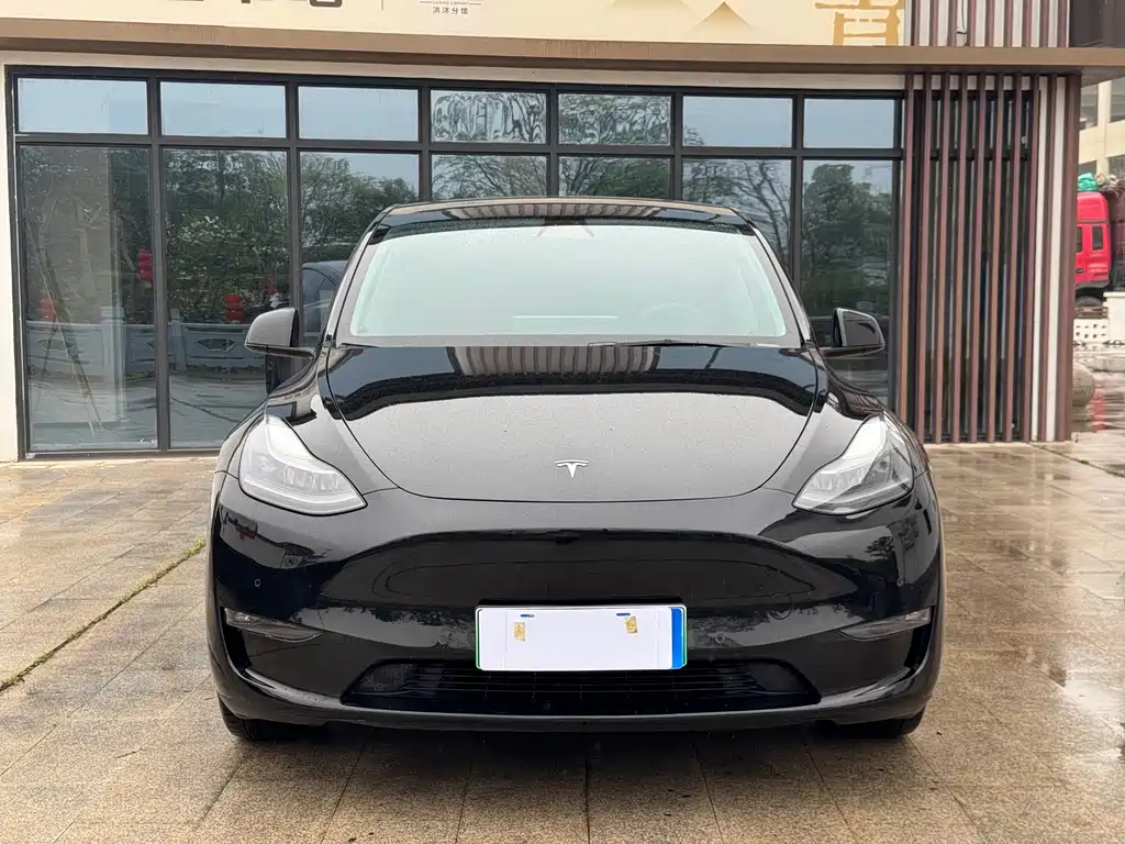 Tesla Model Y 2021