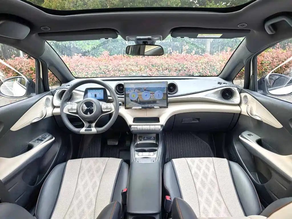 BYD Dolphin 2024