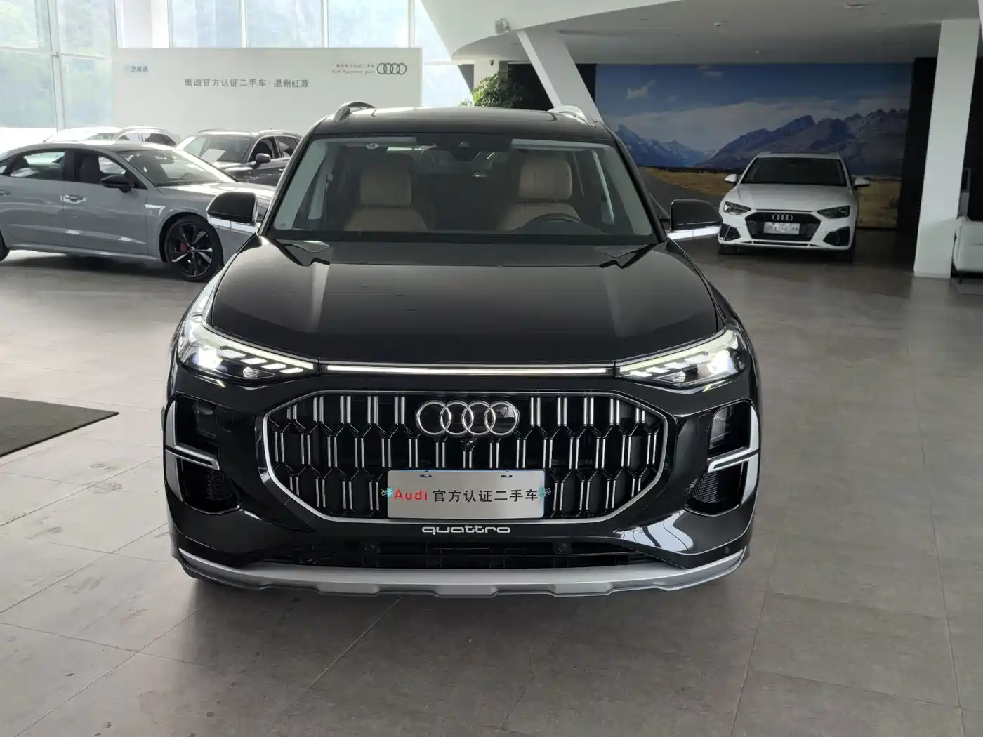 Audi Q6 2025