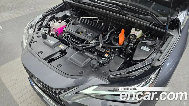 Lexus NX 2025