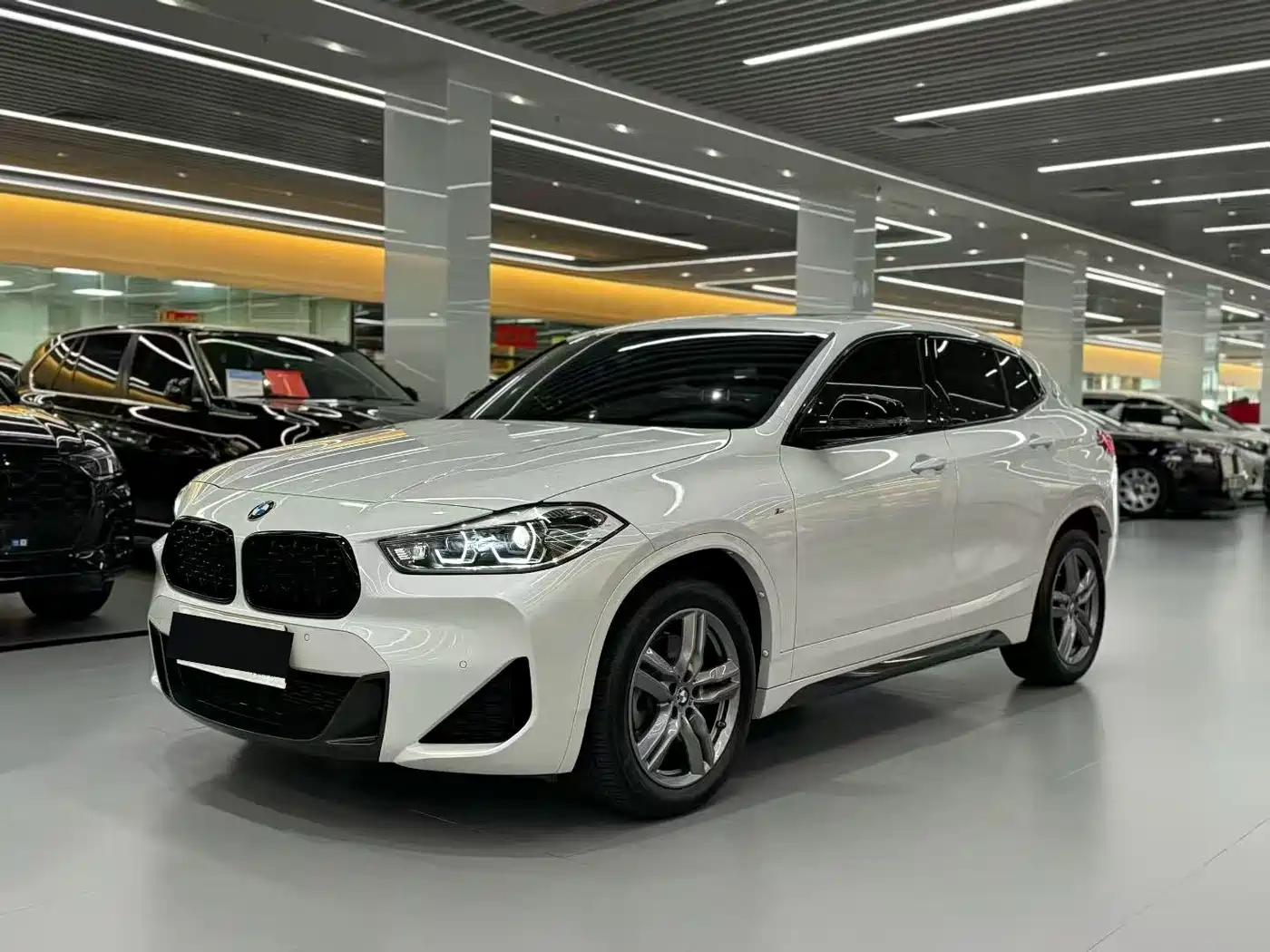 BMW X2 2024