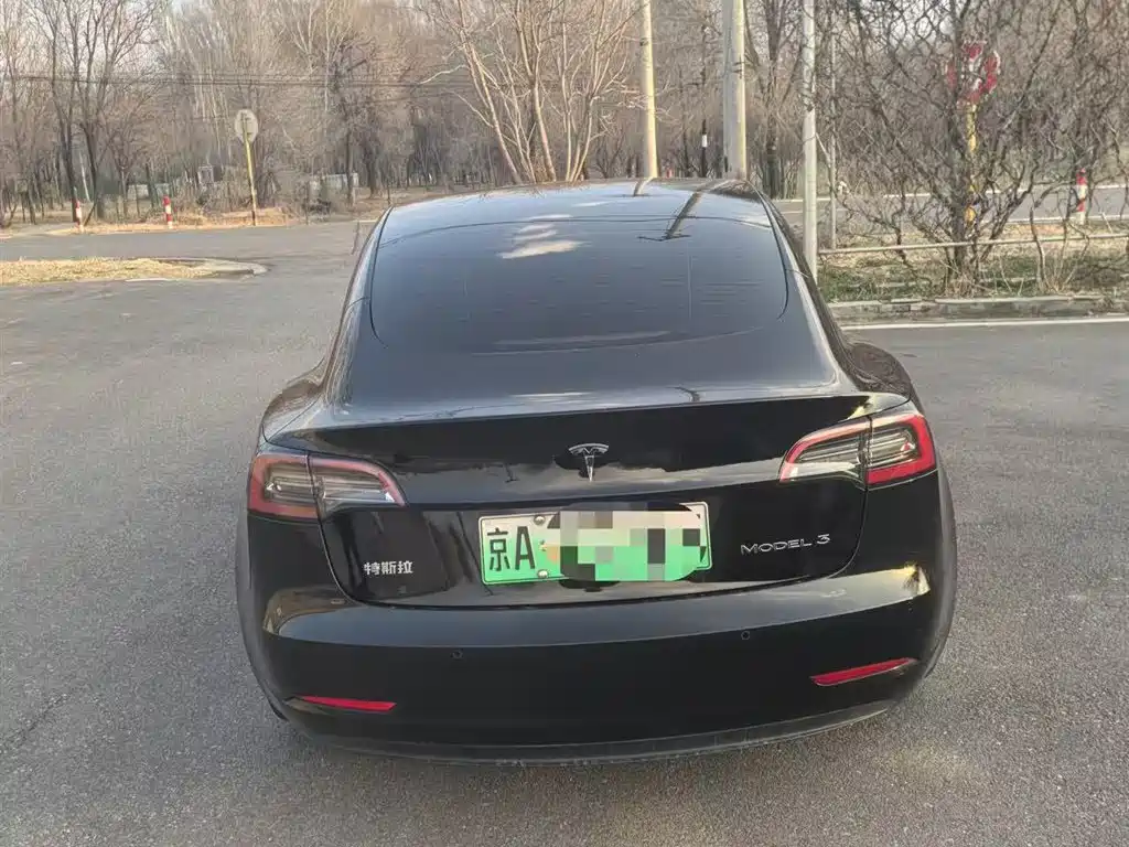 Tesla Model 3 2021