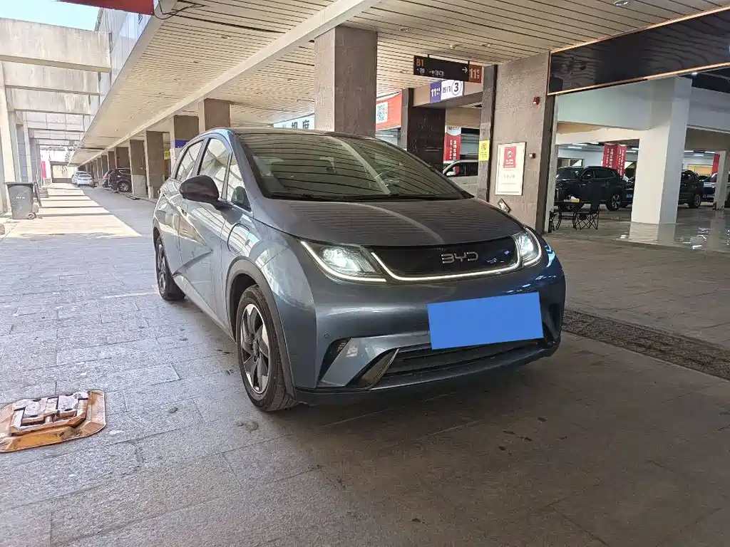 BYD Dolphin 2024