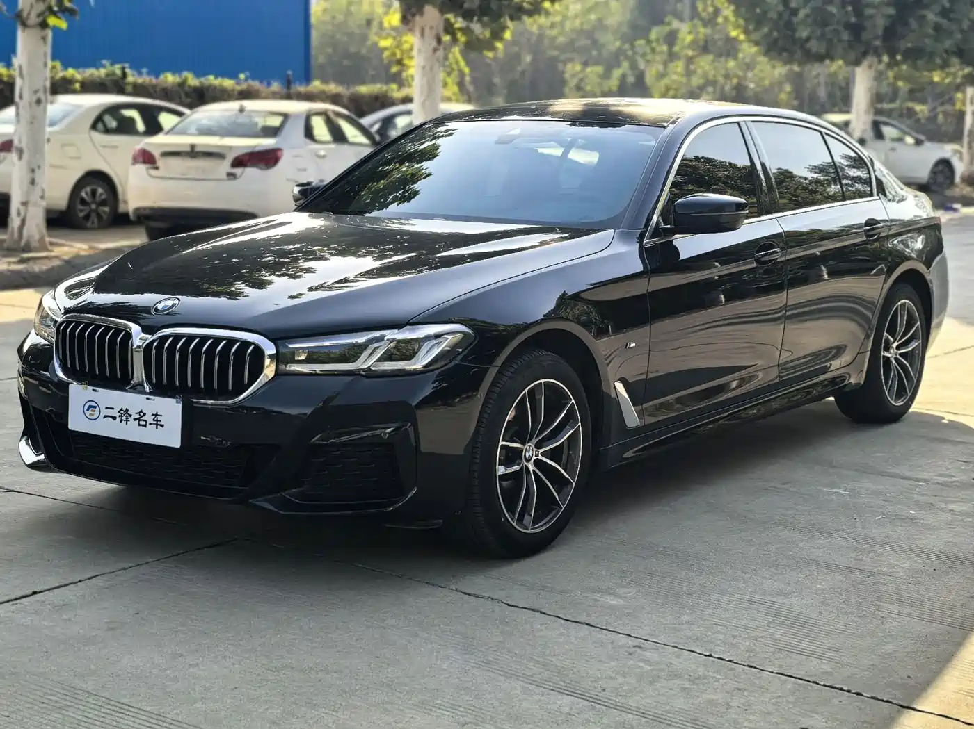 BMW 5 серии 2022