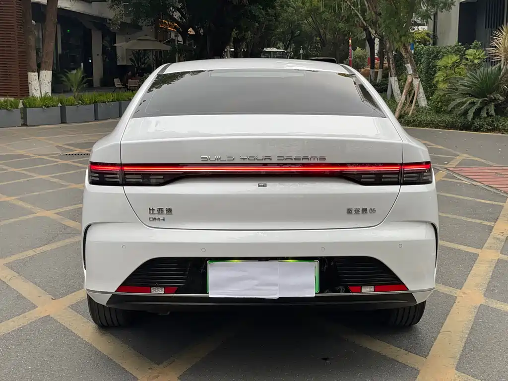 BYD Destroyer 05 2024