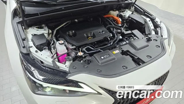 Lexus NX 2024