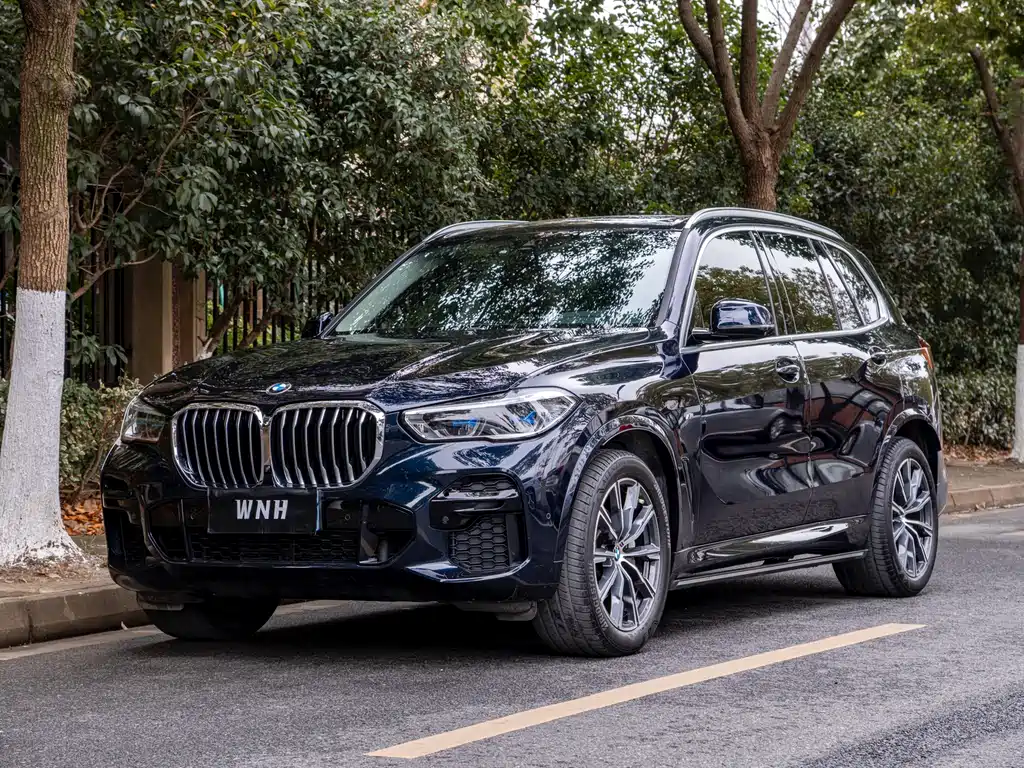 BMW X5 2022