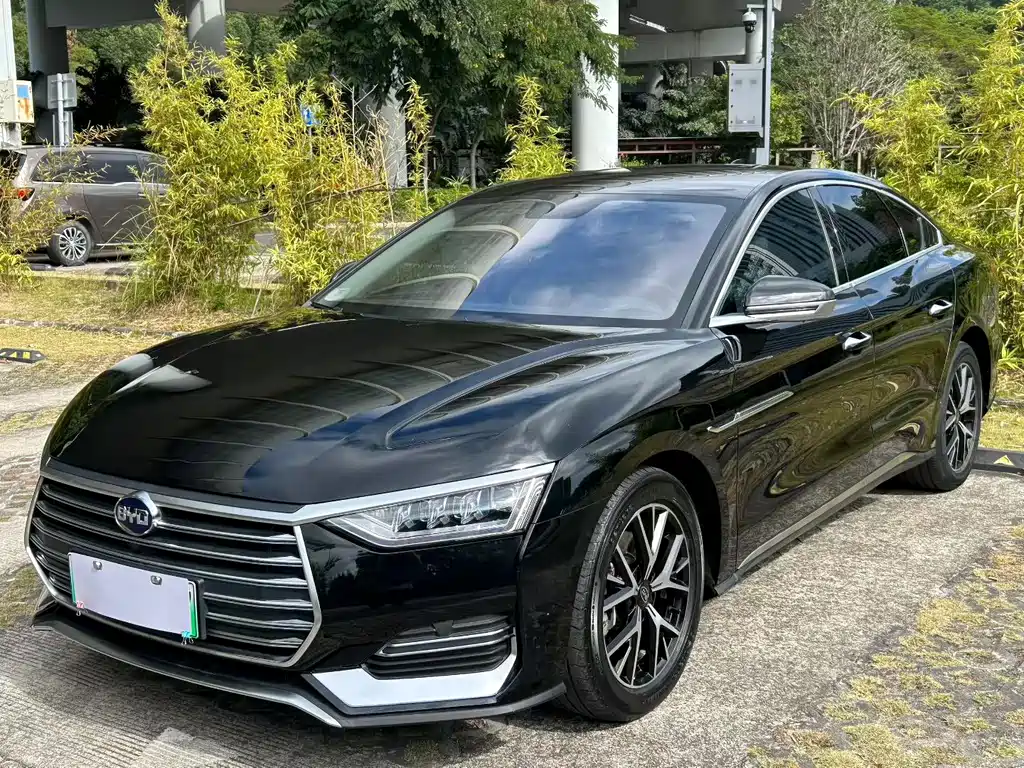BYD E9 2021