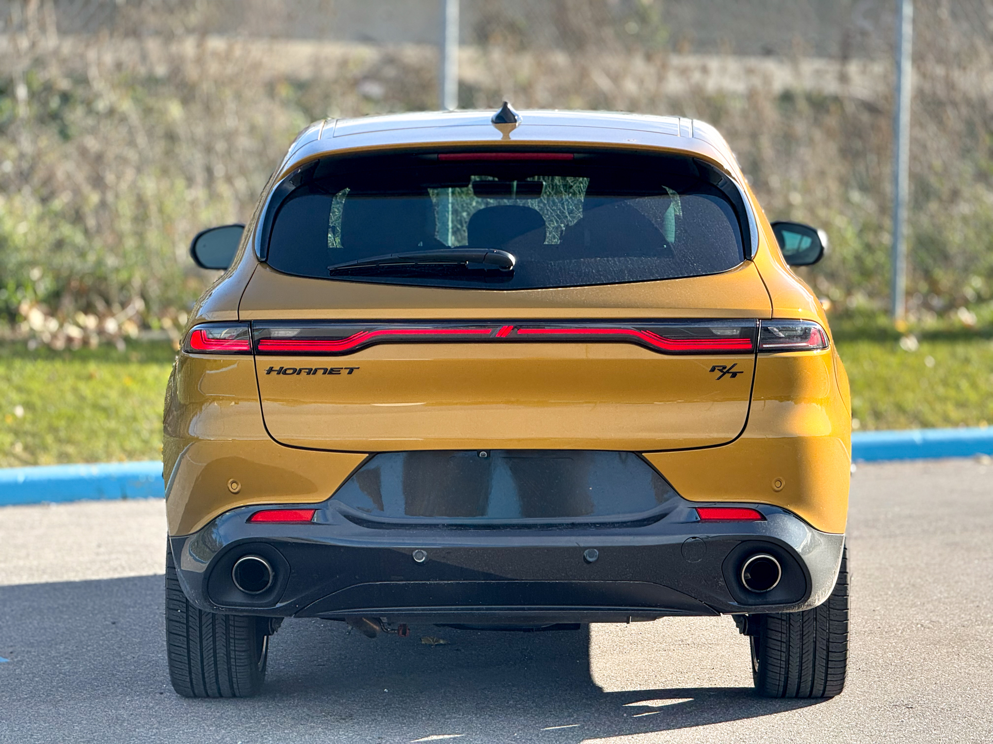 Dodge Hornet 2024