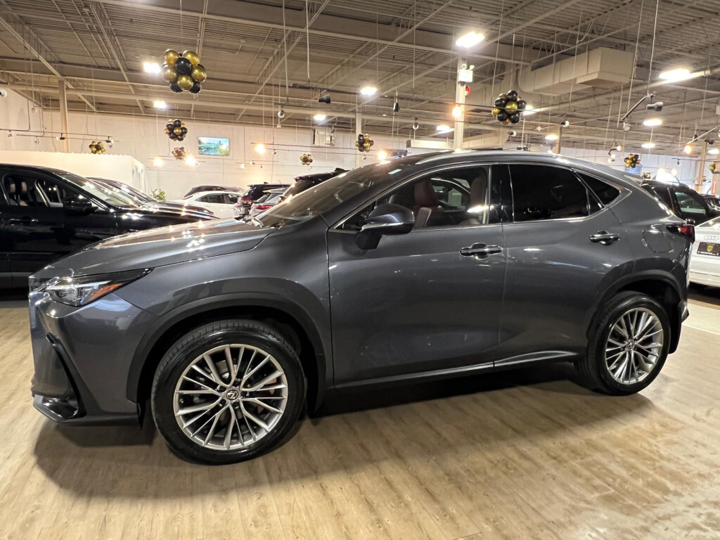 Lexus NX 350 2022