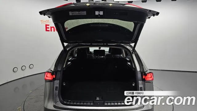 Lexus NX 2021