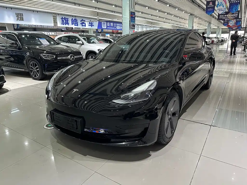 Tesla Model 3 2021
